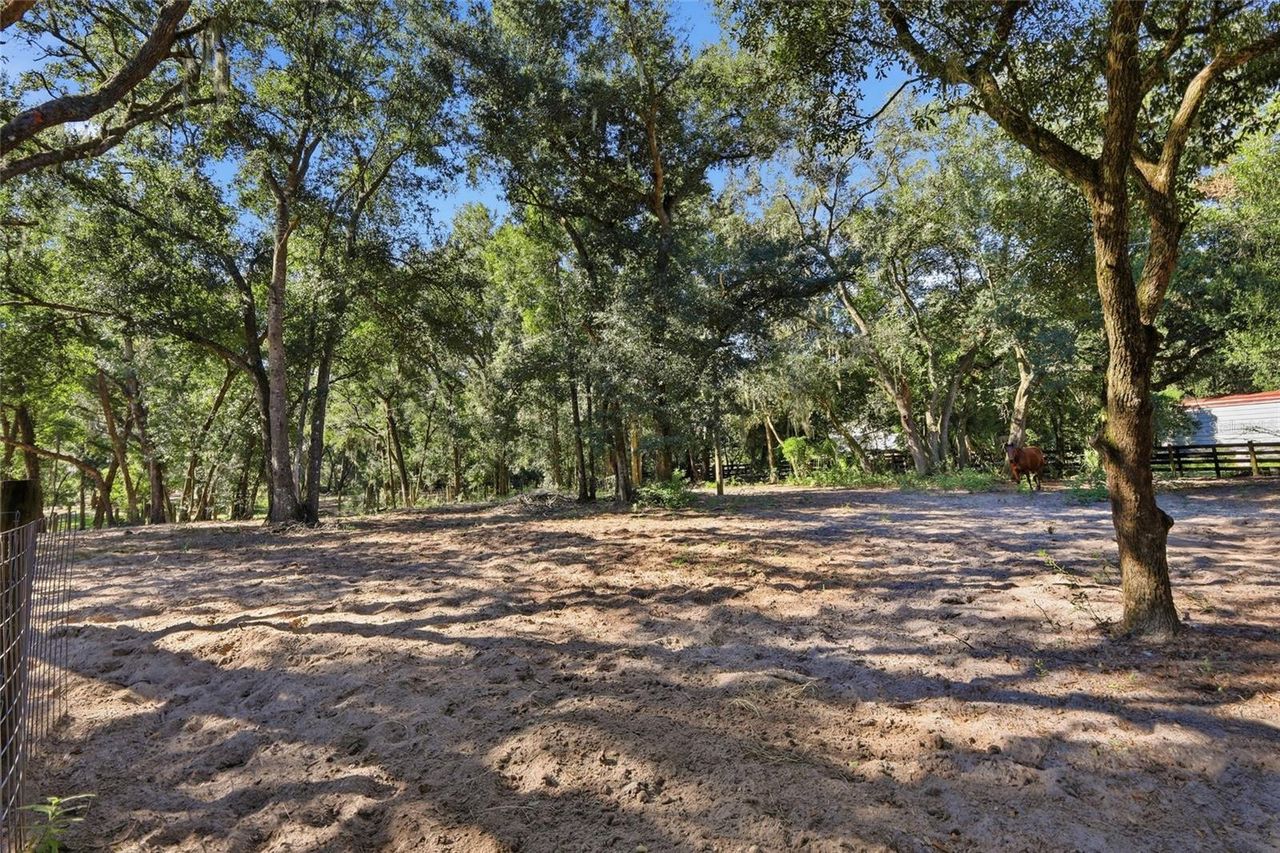 2138 LAKE ELLA ROAD — photo 60