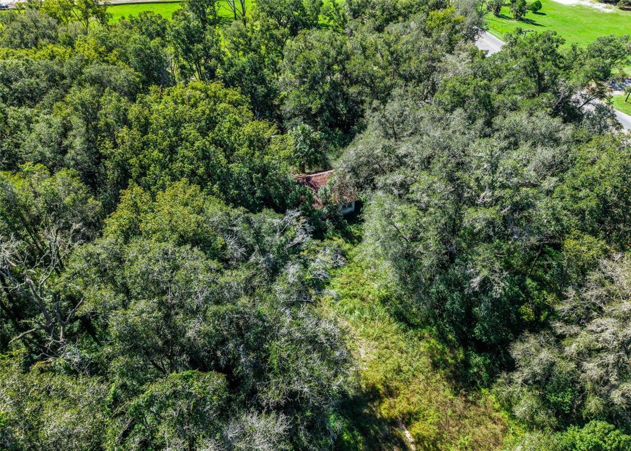 21520 COUNTY ROAD 44A — photo 10