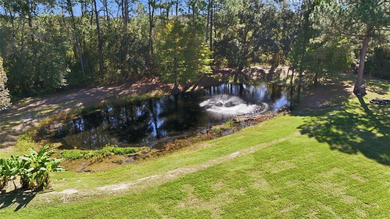 40928 BRIDLE PATH LANE — photo 49