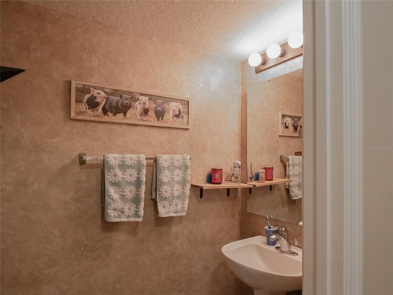 216 TRES REYES LANE — photo 20