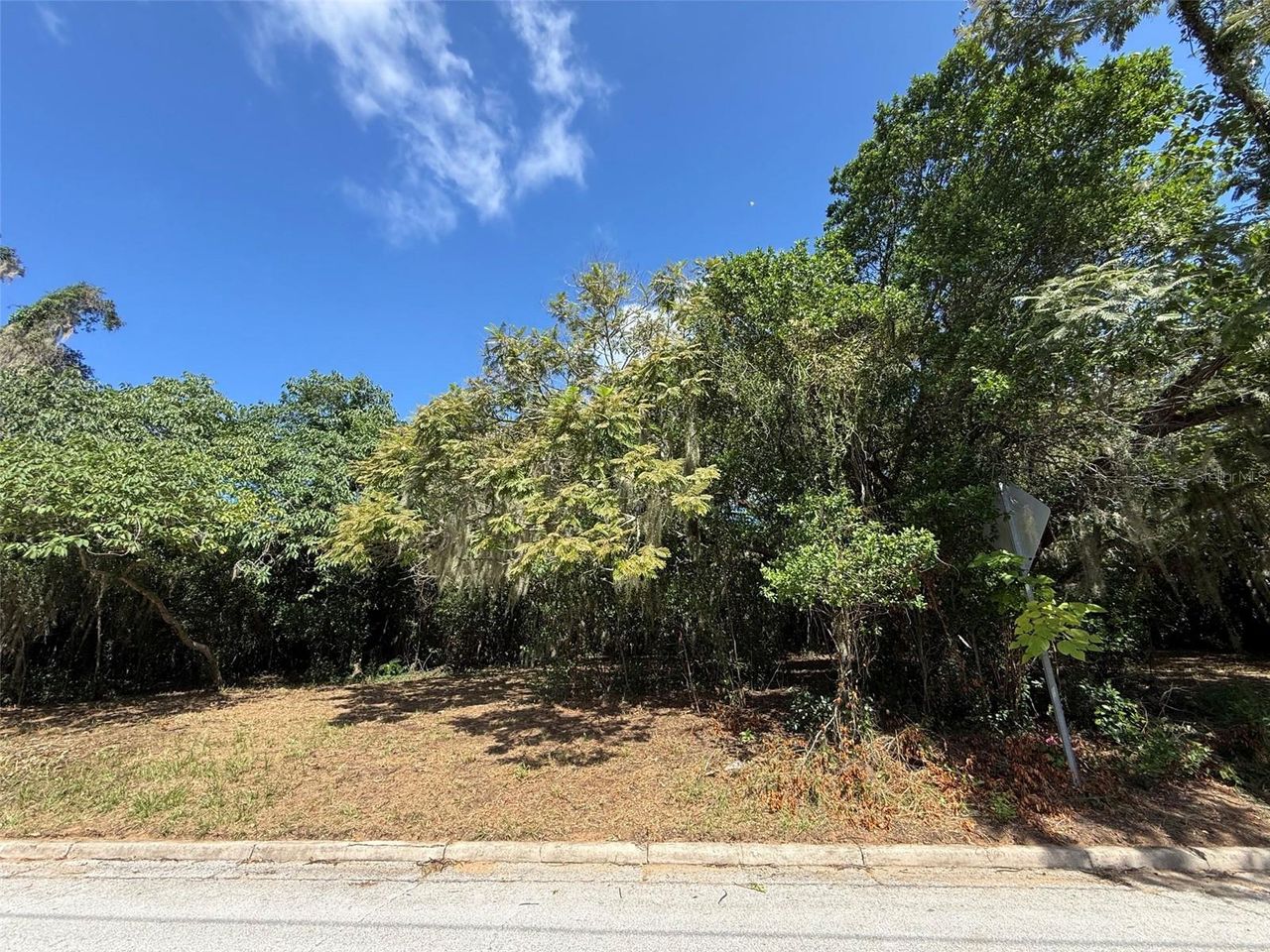 MORNINGSIDE DRIVE — photo 6