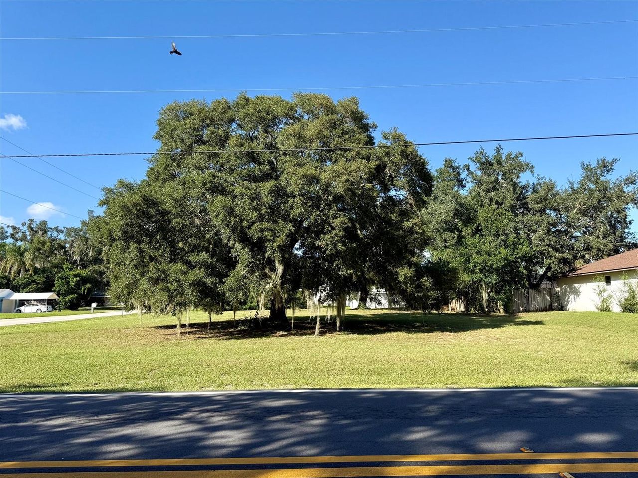 WAYCROSS AVENUE — photo 4