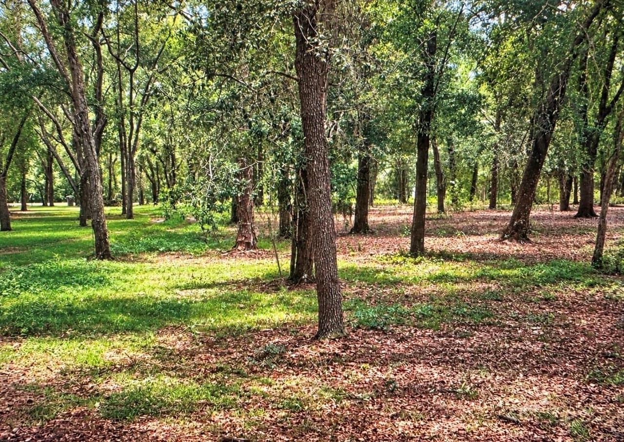 ROLLING ACRES ROAD — photo 4