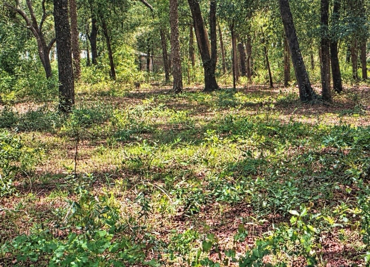 ROLLING ACRES ROAD — photo 5