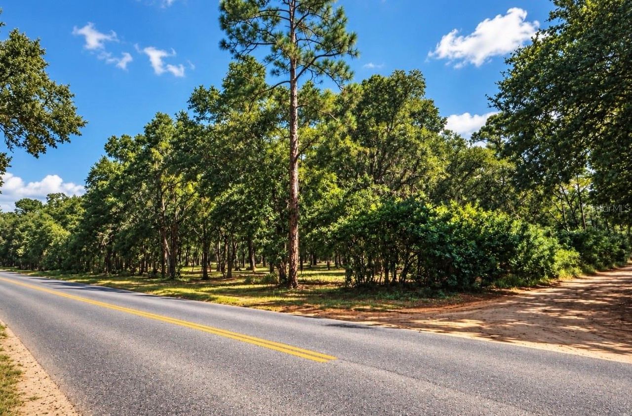 ROLLING ACRES ROAD — photo 3