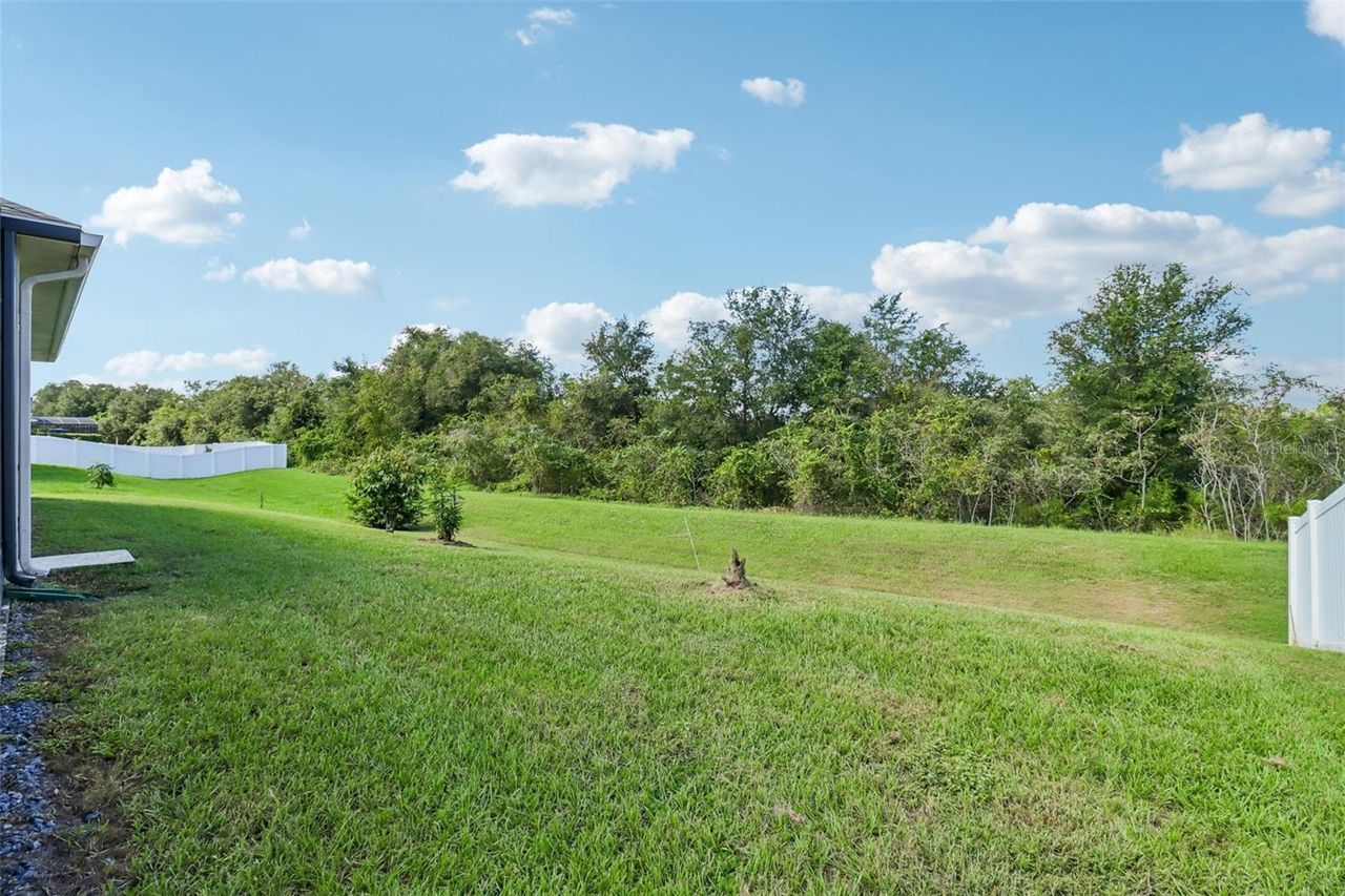 121 HARVEST GATE BOULEVARD — photo 28