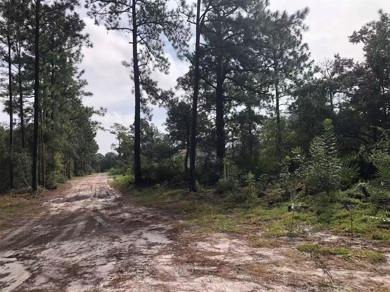 Lot 228 PARK FOREST BOULEVARD — photo 4