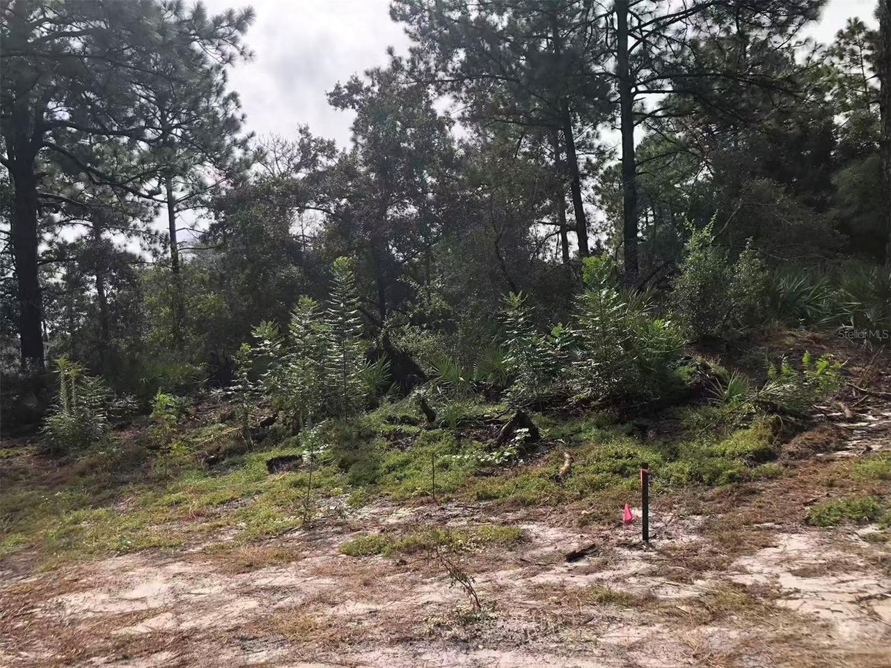 Lot 228 PARK FOREST BOULEVARD — photo 5