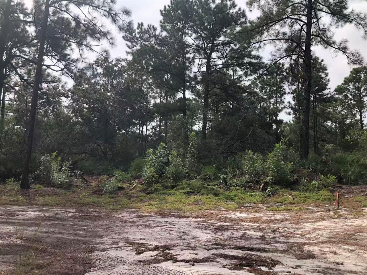 Lot 228 PARK FOREST BOULEVARD — photo 6