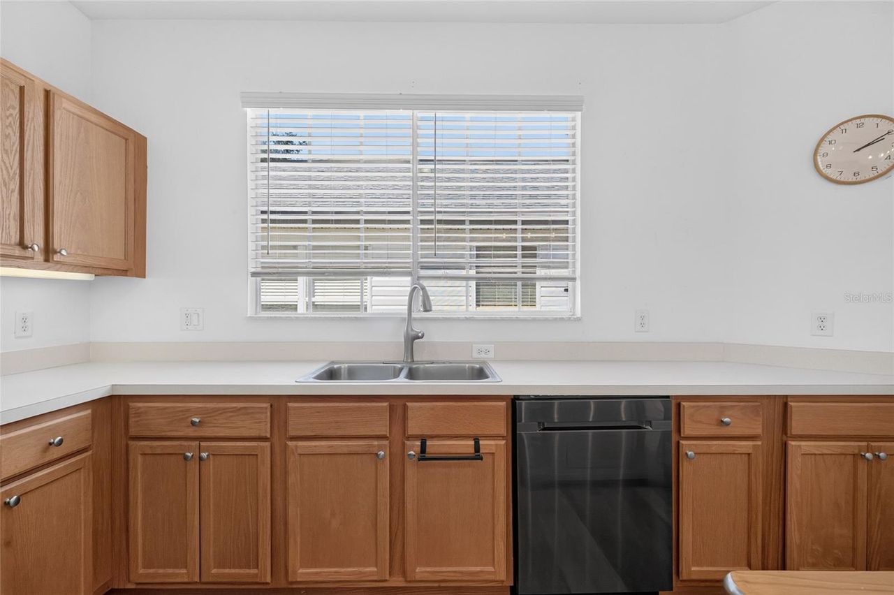 25247 CRANES ROOST CIRCLE — photo 12