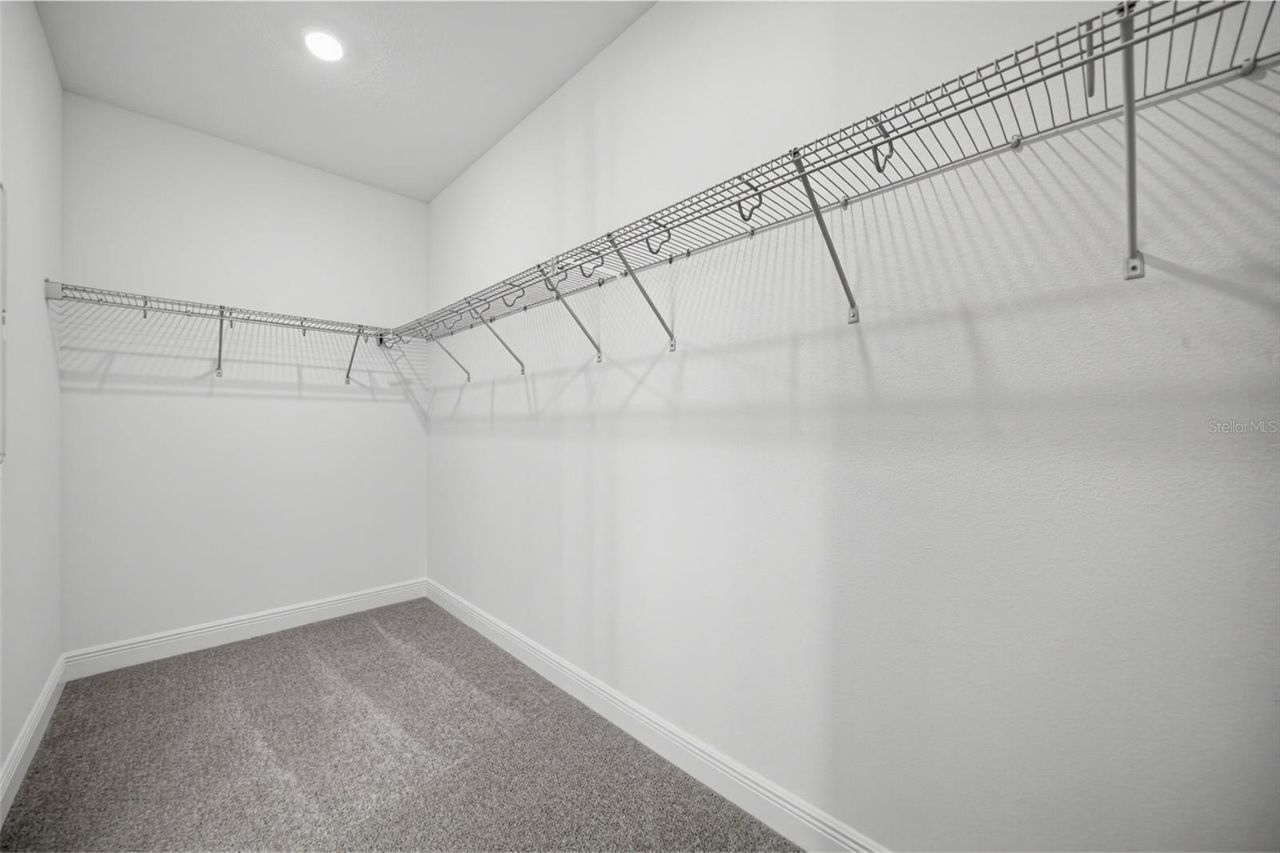 30139 EMERALD FOREST DRIVE — photo 19