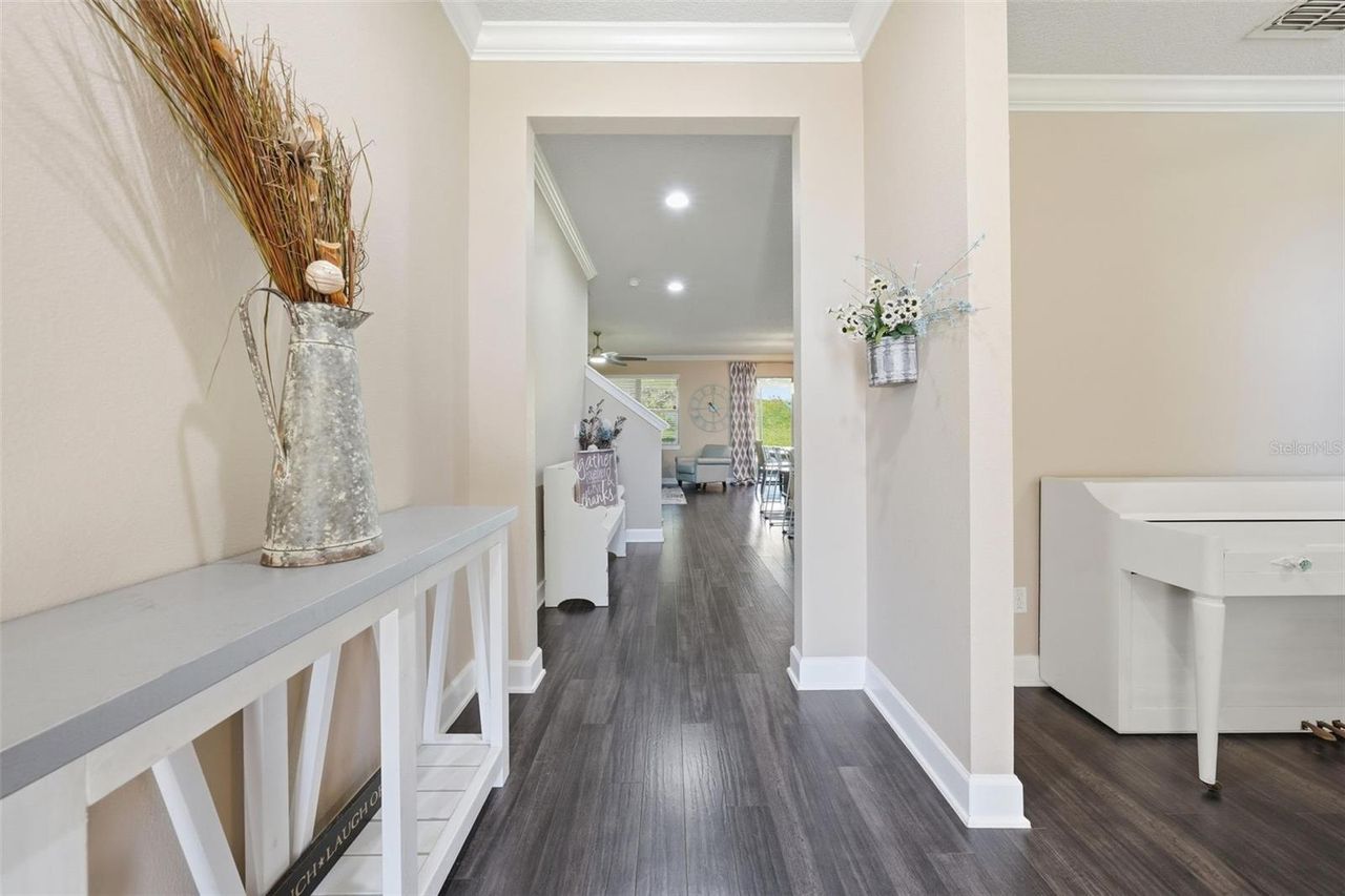 30145 LOSINO COVE — photo 7