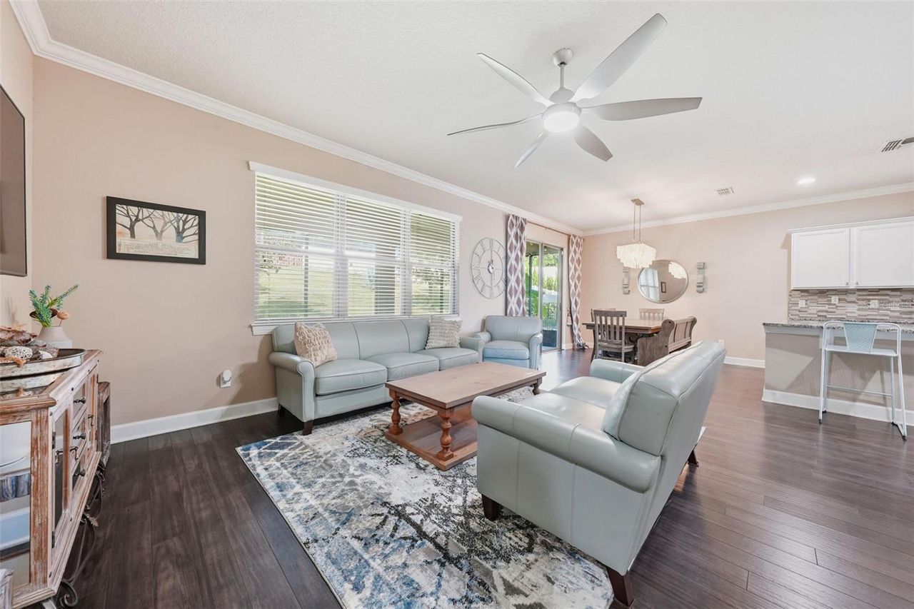 30145 LOSINO COVE — photo 18