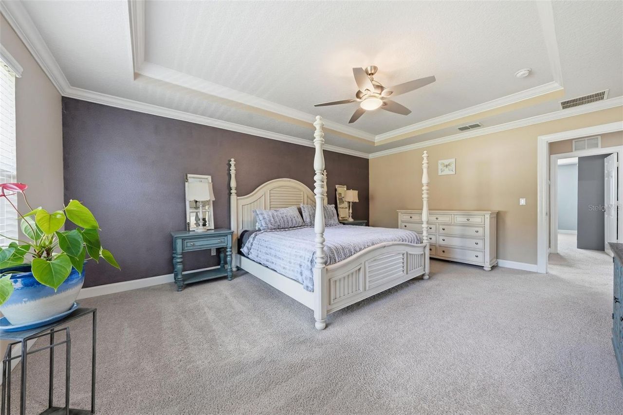 30145 LOSINO COVE — photo 33