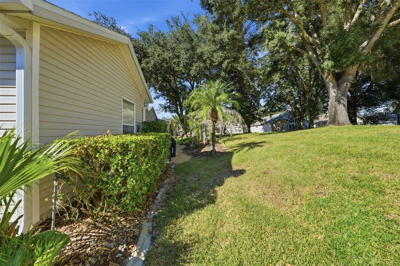 25012 CRANES ROOST CIRCLE — photo 5