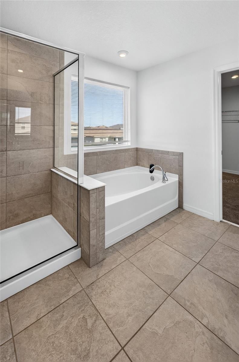 2960 ANGELONIA THORN WAY — photo 37