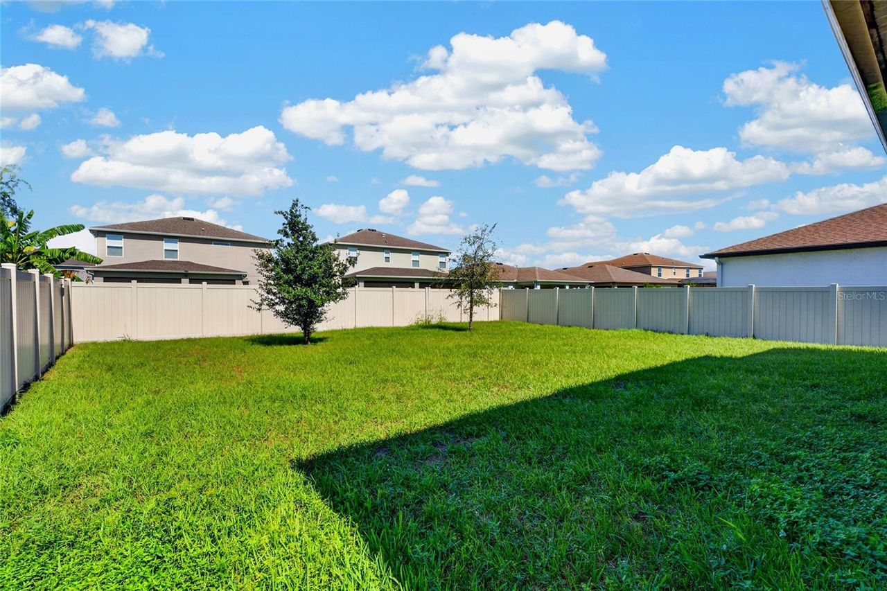 2960 ANGELONIA THORN WAY — photo 48